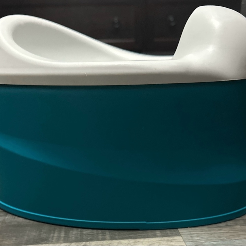 Teal and White Potty and Reveal